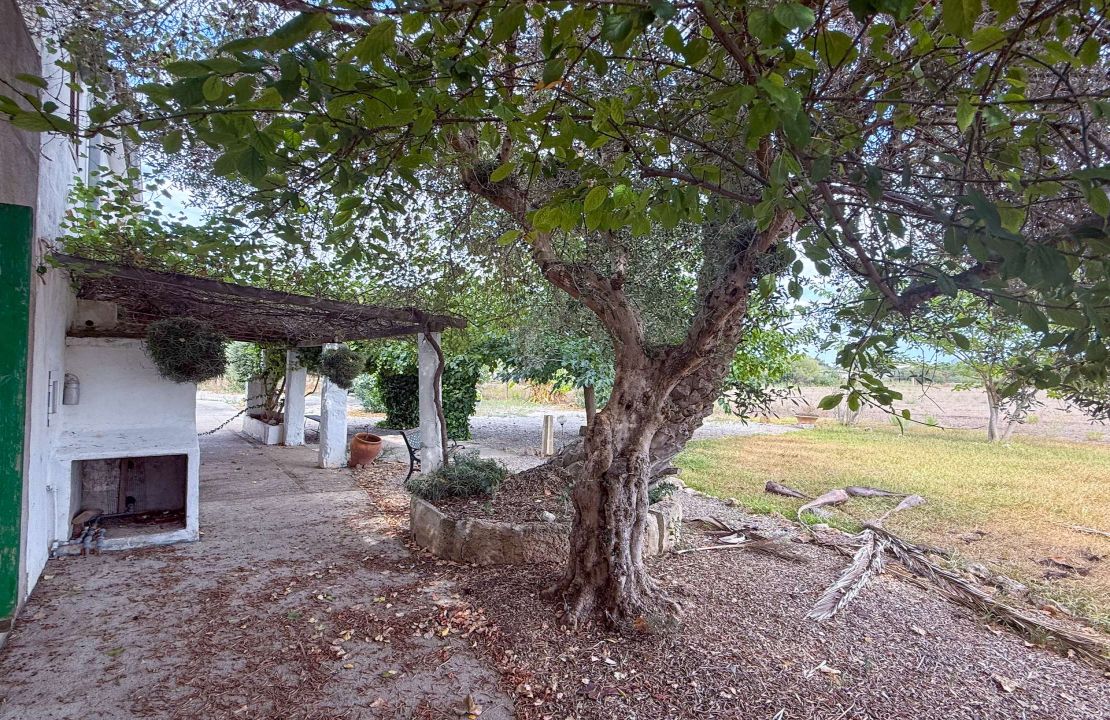 Country house with holiday rental license in Puerto Pollensa Mallorca with project to build a new house with pool
